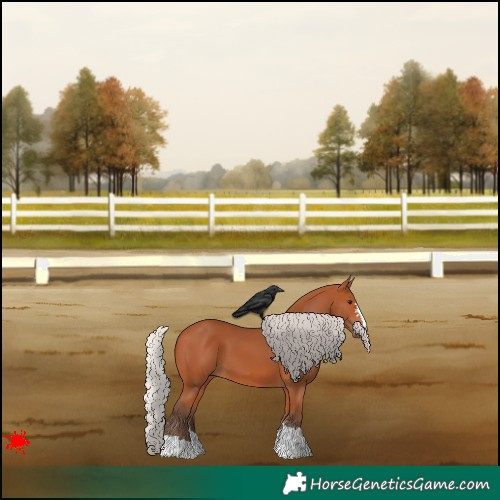 Horse Color:Silver Bay 