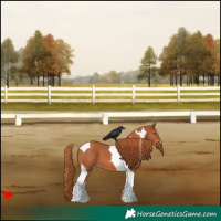 Horse Color:Chestnut Tobiano 
