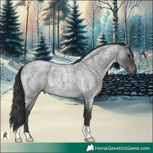 Horse Color:Blue Roan 