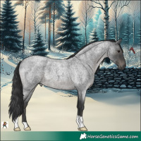 Horse Color:Blue Roan 