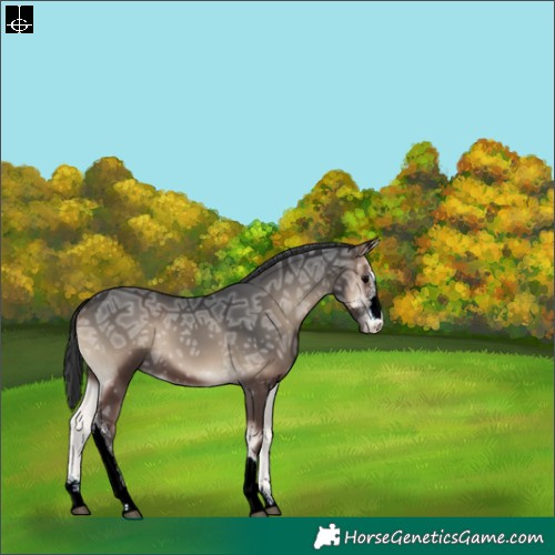 Horse Color:Blue Onyx Ice Sabino 