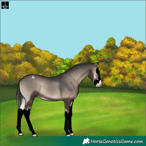 Horse Color:Blue Onyx Sabino Splash Varnish Rabicano 