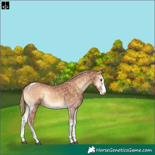 Horse Color:Red Onyx Ice Sabino Tobiano 