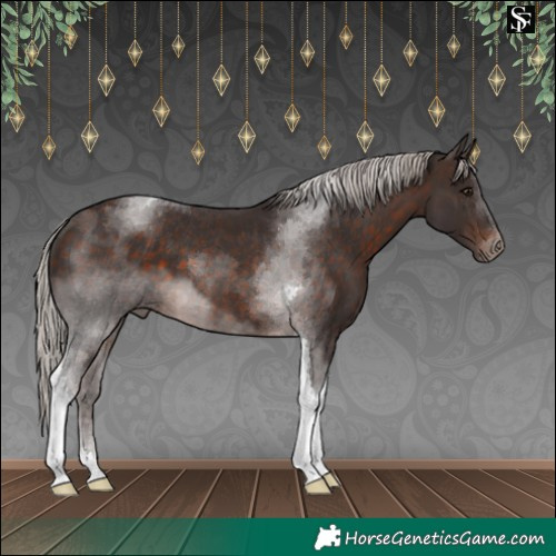 Horse Color:Silver Brown Tobiano 