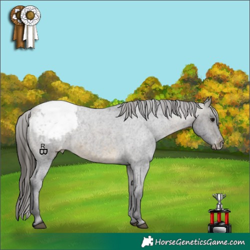 Horse Color:Buckskin Roan Snowcap 