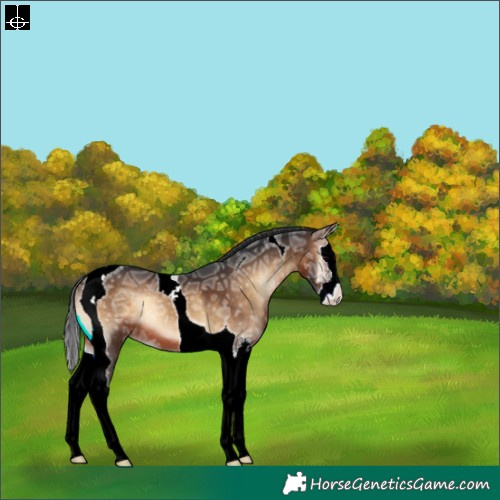 Horse Color:Brown Ice Onyx Sabino Splash Tobiano Varnish 