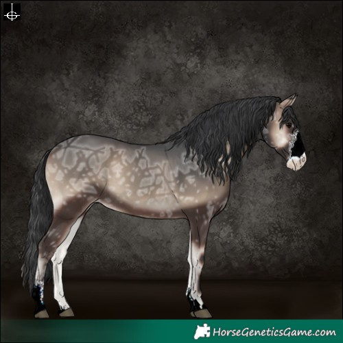 Horse Color:Blue Onyx Ice Sabino Varnish Rabicano 