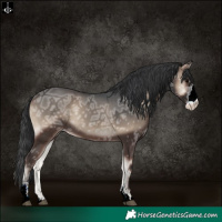 Horse Color:Blue Onyx Ice Sabino Varnish Rabicano 