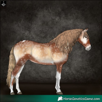 Horse Color:Red Onyx Ice Tobiano