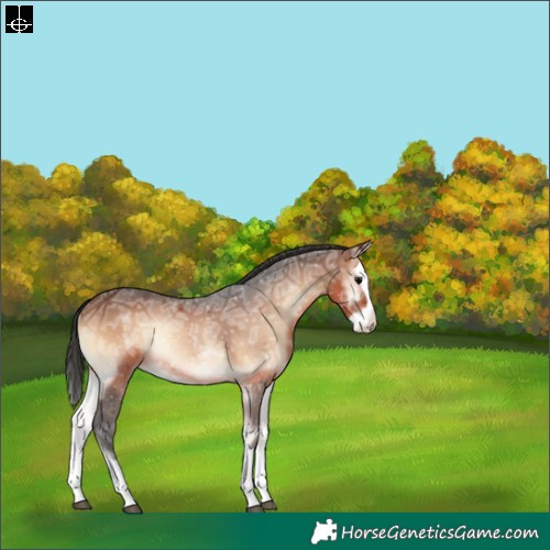 Horse Color:Brown Ice Onyx Splash Varnish Rabicano 