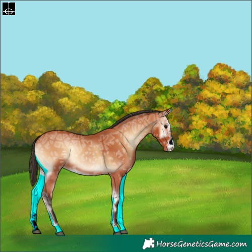 Horse Color:Bay Ice Onyx Sabino 