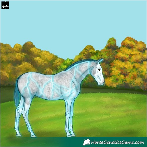 Horse Color:Thunderstruck Blue Roan Splash 