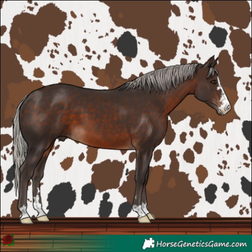 Horse Color:Silver Brown 