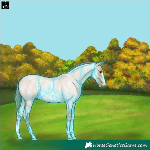 Horse Color:Thunderstruck Red Roan 