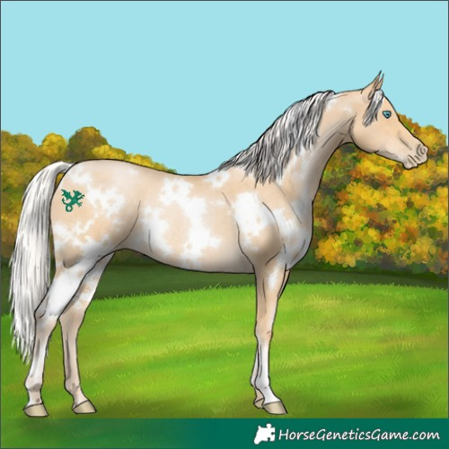 Horse Color:White Spotted Silver Black Snowdrop Pearl Rabicano 