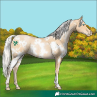 Horse Color:White Spotted Silver Black Snowdrop Pearl Rabicano