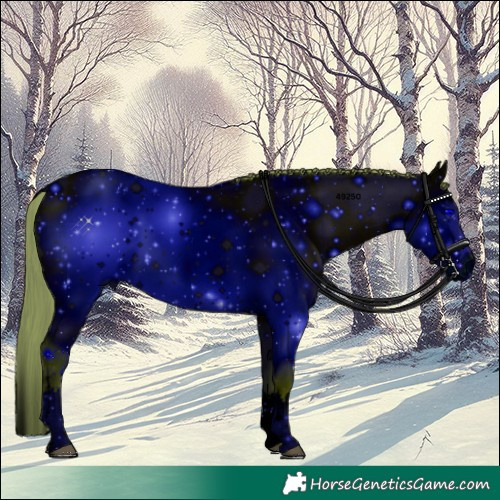 Horse Color:ERROR: UNKNOWN ANOMALY