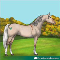 Horse Color:Silver Bay Dun Tobiano 