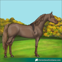 Horse Color:Liver Red Dun 