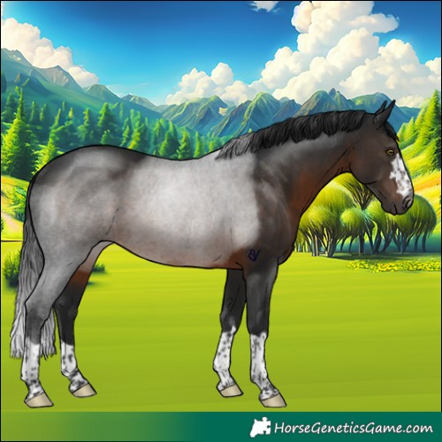 Horse Color:Gray Brown Rabicano 
