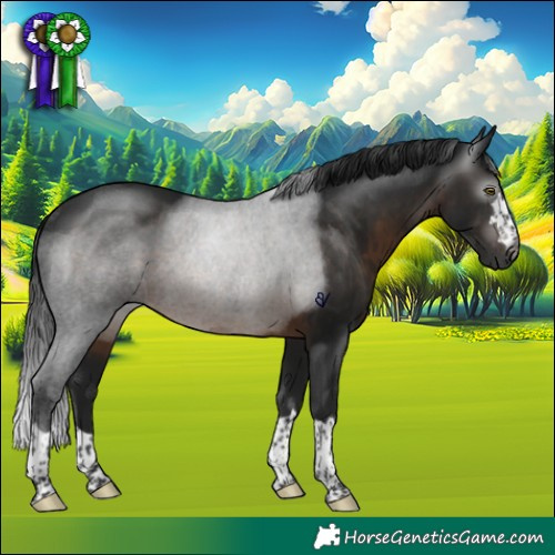 Horse Color:Gray Brown Rabicano 
