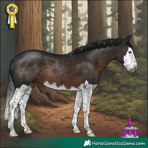 Horse Color:Gray Brown Splash Rabicano 