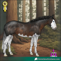Horse Color:Gray Brown Splash Rabicano