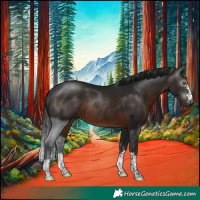 Horse Color:Gray Brown Rabicano 
