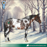 Horse Color:White Spotted Brown Rabicano 