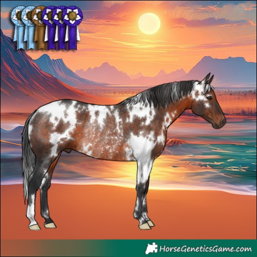 Horse Color:White Spotted Brown Rabicano 