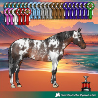Horse Color:White Spotted Brown Rabicano