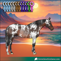 Horse Color:White Spotted Brown Rabicano 