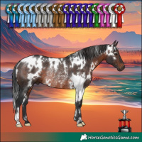 Horse Color:White Spotted Brown Rabicano