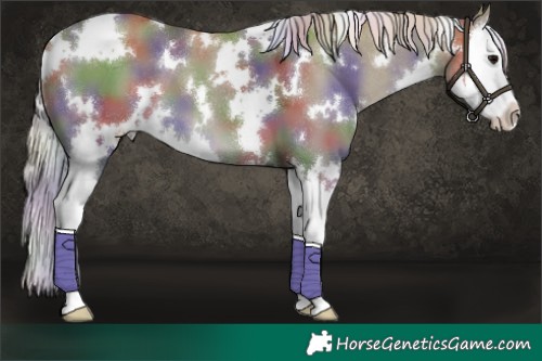 Horse Color:Nacre White Spotted Silver Grullo Splash 