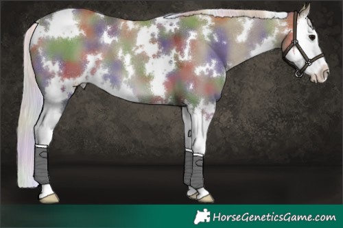 Horse Color:Nacre White Spotted Silver Grullo Splash 