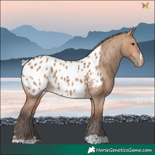 Horse Color:Silver Brown Dun Near Leopard 
