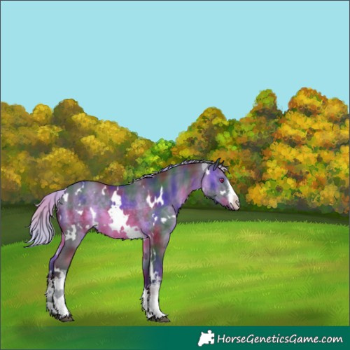 Horse Color:Nacre White Spotted Silver Brown Chinchilla 