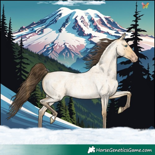 Horse Color:Amber Cream Champagne Roan Dun 
