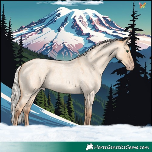 Horse Color:Silver Amber Champagne Roan Dun 