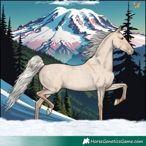 Horse Color:Silver Classic Champagne Roan Dun 