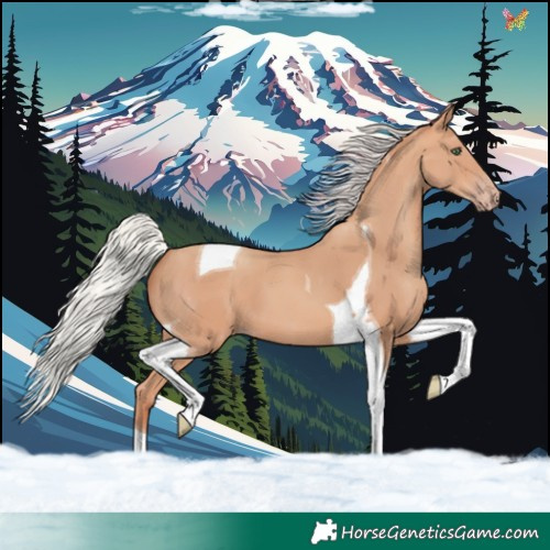 Horse Color:Silver Amber Champagne Tobiano 