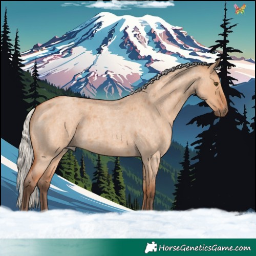 Horse Color:Silver Bay Roan Dun 