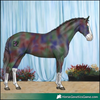 Horse Color:Nacre Black Splash