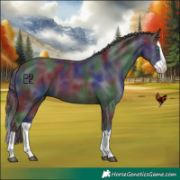 Horse Color:Nacre Black Splash