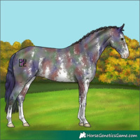 Horse Color:Nacre Buckskin Sabino Rabicano
