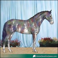 Horse Color:Nacre Buckskin Sabino Rabicano