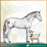 Horse Color:White Spotted Brown Mushroom Appaloosa