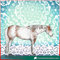 Horse Color:White Spotted Silver Brown Splash 