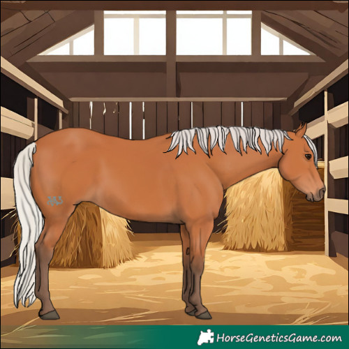 Horse Color:Silver Bay 