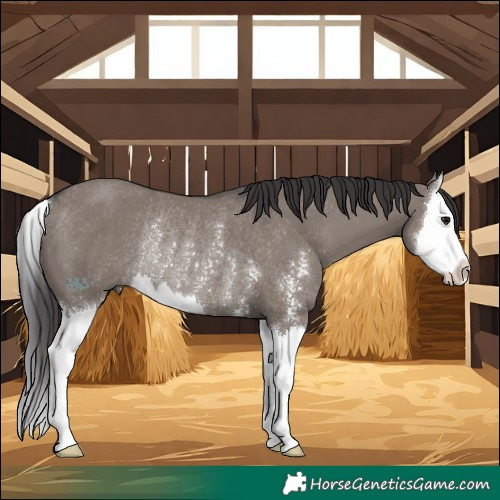 Horse Color:Smoky Grullo Sabino Splash Rabicano 